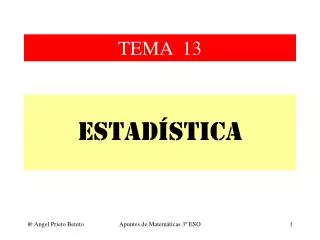 tema 13