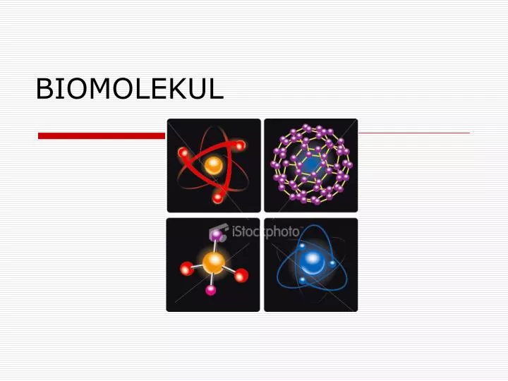 biomolekul