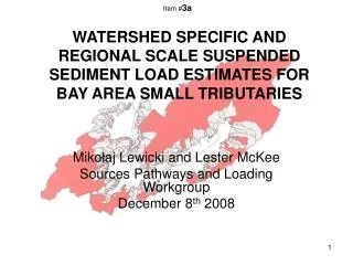 Miko ? aj Lewicki and Lester McKee Sources Pathways and Loading Workgroup December 8 th 2008