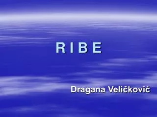 r i b e