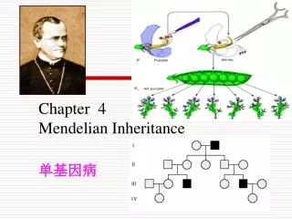 chapter 4 mendelian inheritance