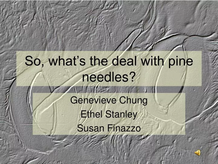 so what s the deal with pine needles