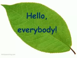 hello everybody