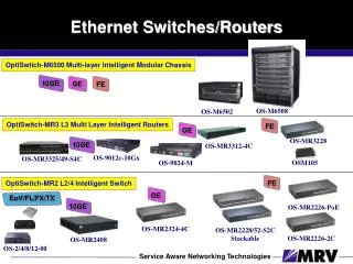 Ethernet Switches/Routers