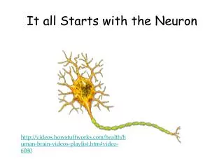 It all Starts with the Neuron