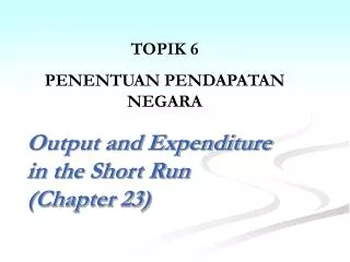 Output and Expenditure in the Short Run (Chapter 23)