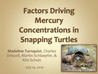 Factors Driving Mercury Concentrations in Snapping Turtles