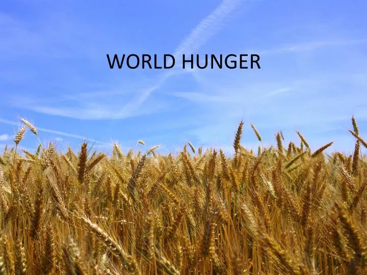 world hunger