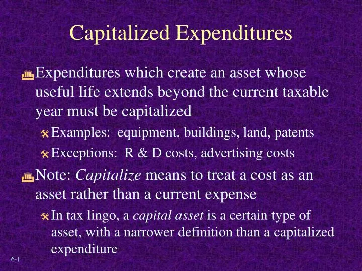 capitalized expenditures