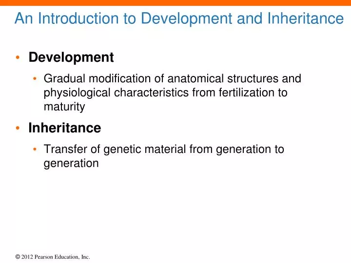 an introduction to development and inheritance
