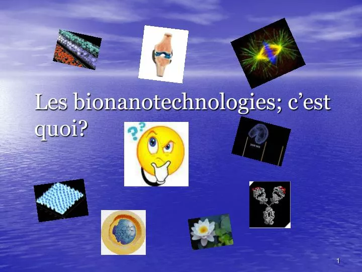 les bionanotechnologies c est quoi