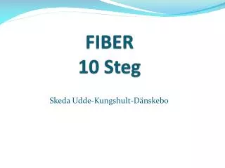 fiber 10 steg