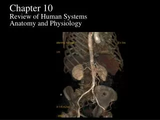 Chapter 10 Review of Human Systems Anatomy and Physiology