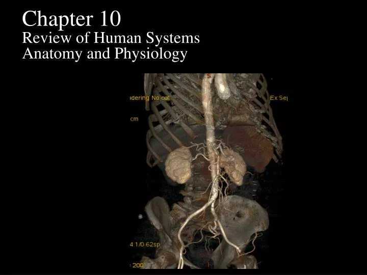 chapter 10 review of human systems anatomy and physiology