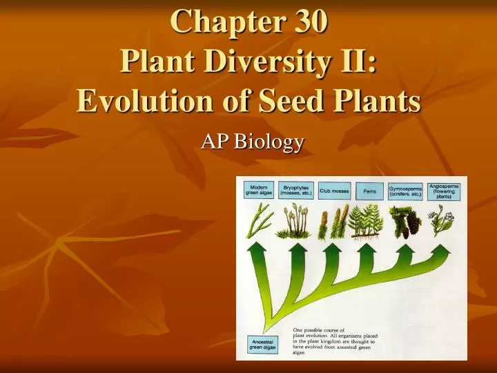 chapter 30 plant diversity ii evolution of seed plants