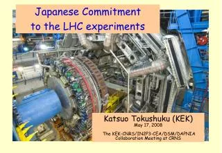 Japanese Commitment to the LHC experiments