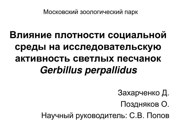 gerbillus perpallidus