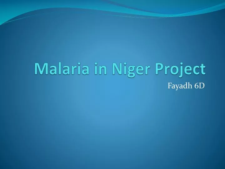 malaria in niger project