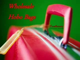 Wholesale Hobo Bags by Teekeem