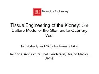 Tissue Engineering of the Kidney: Cell Culture Model of the Glomerular Capillary Wall