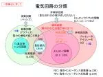 電気回路の分類 - slide 1