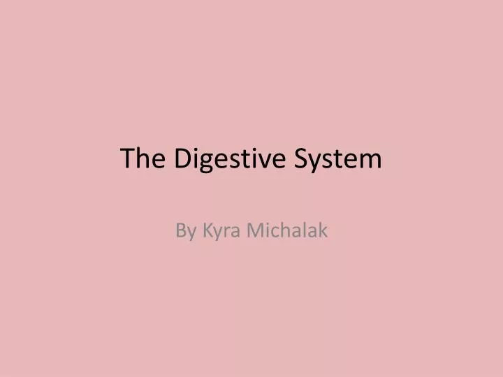 the digestive system