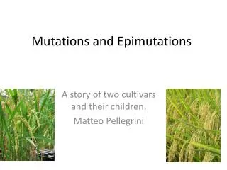 Mutations and Epimutations