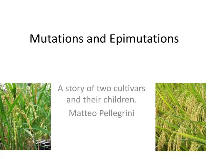 mutations and epimutations