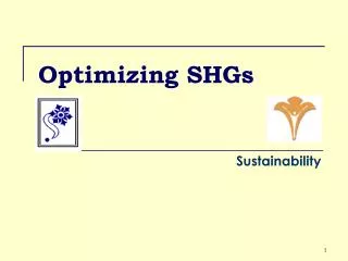 Optimizing SHGs