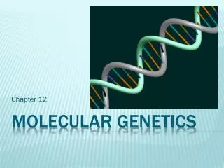 Molecular Genetics