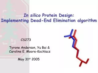 In silico Protein Design: Implementing Dead-End Elimination algorithm