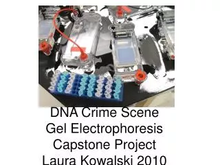 DNA Crime Scene Gel Electrophoresis Capstone Project Laura Kowalski 2010