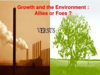 Growth and the Environment : Allies or Foes ?