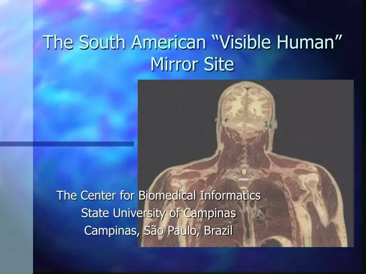 the south american visible human mirror site