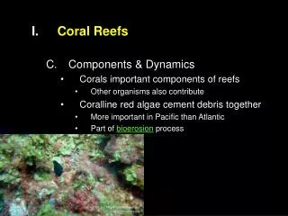 Coral Reefs Components &amp; Dynamics Corals important components of reefs