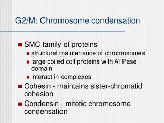 G2/M: Chromosome condensation