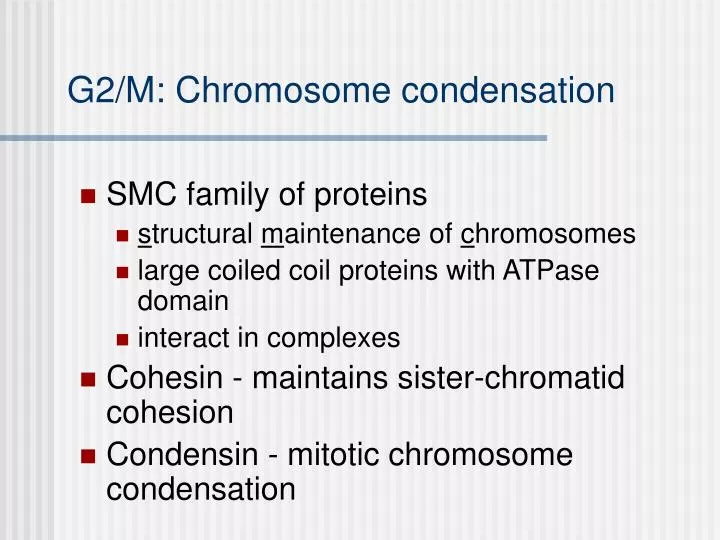 g2 m chromosome condensation