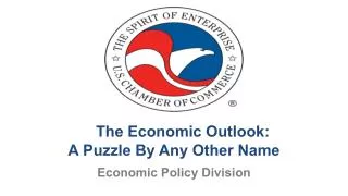 The Economic Outlook: A Puzzle By Any Other Name