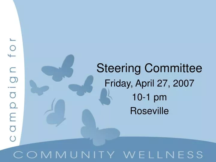 steering committee friday april 27 2007 10 1 pm roseville