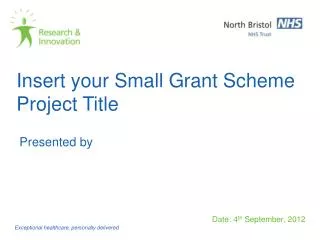 Insert your Small Grant Scheme Project Title