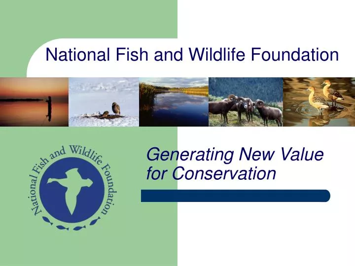 national fish and wildlife foundation