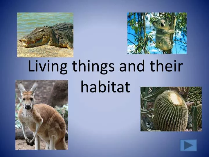 living things and their habitat