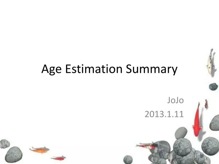 age estimation summary