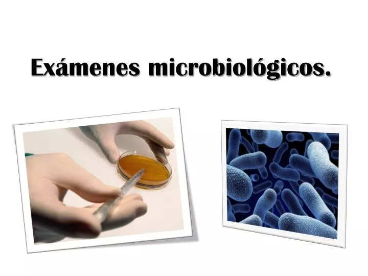 ex menes microbiol gicos