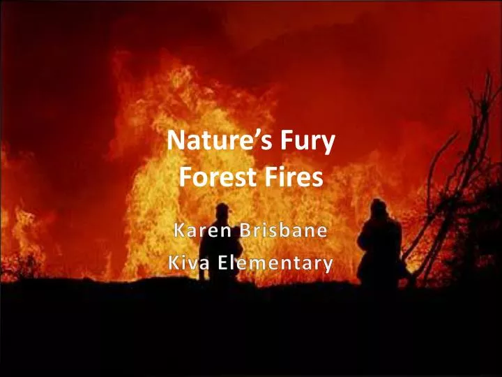 nature s fury forest fires