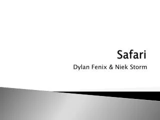 safari