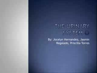 The Urinary System 