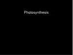 Photosynthesis - slide 1