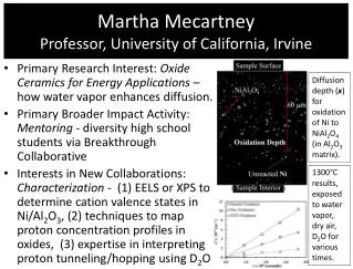 Martha Mecartney Professor, University of California, Irvine