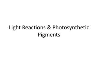 Light Reactions &amp; Photosynthetic Pigments